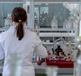Seis meses para reglamentar la prohibición de animales en la industria cosmética