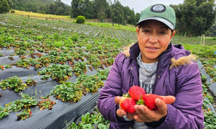 Mujeres rurales: motor de la economía